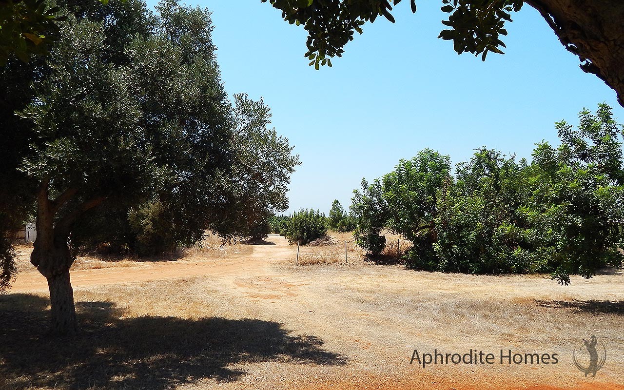 AH101V - Plot For Sale