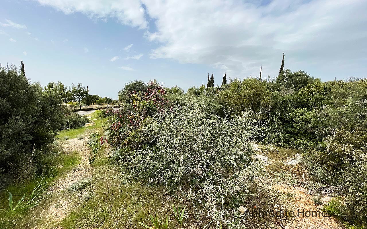 AH360V - Luxury Piece of Land