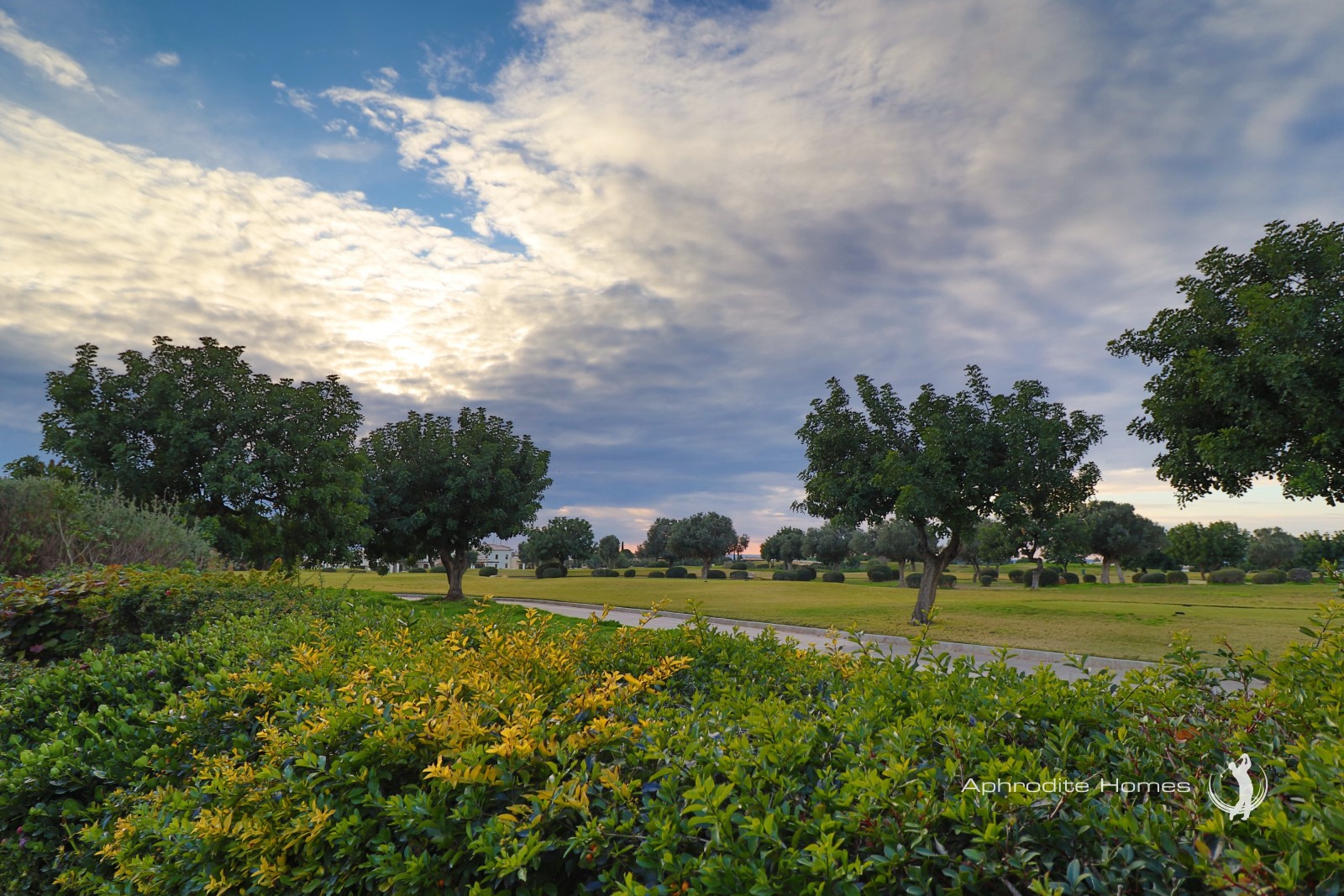 Junior Villa For Sale  in  Aphrodite Hills - Hestiades