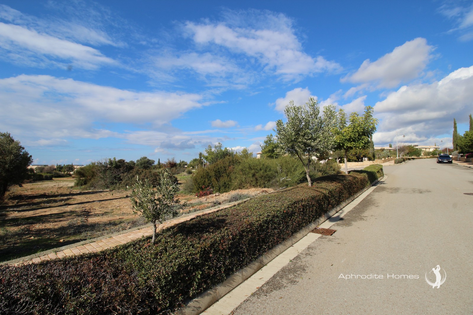 Plot For Sale  in  Aphrodite Hills