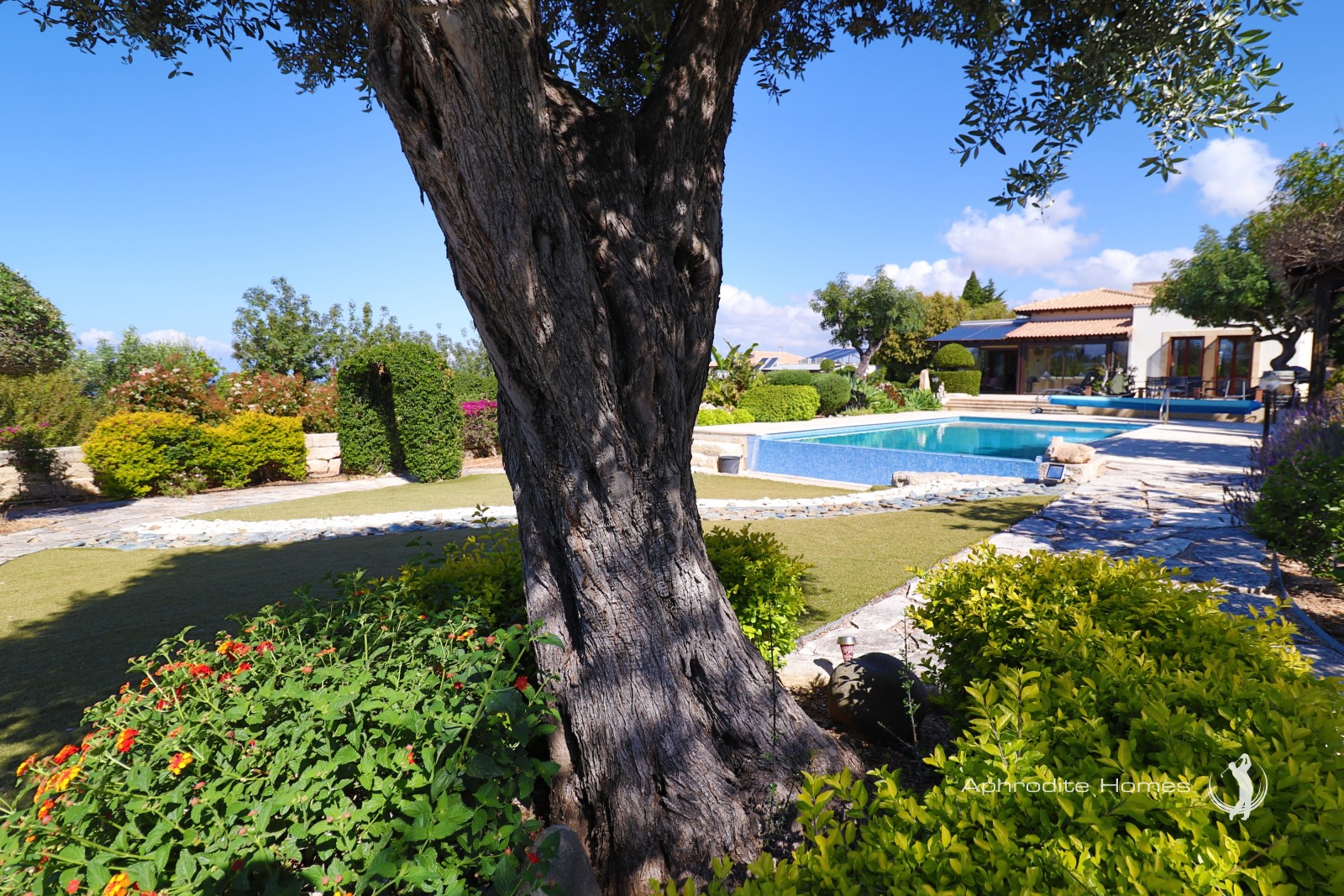 Villa For Sale  in  Aphrodite Hills