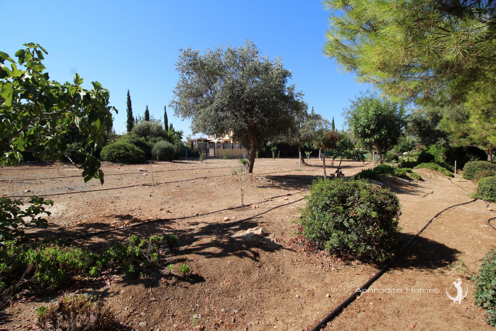 Villa For Sale  in  Aphrodite Hills